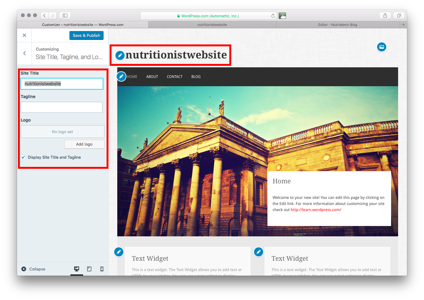 Customiser for nutritionist site in WordPress