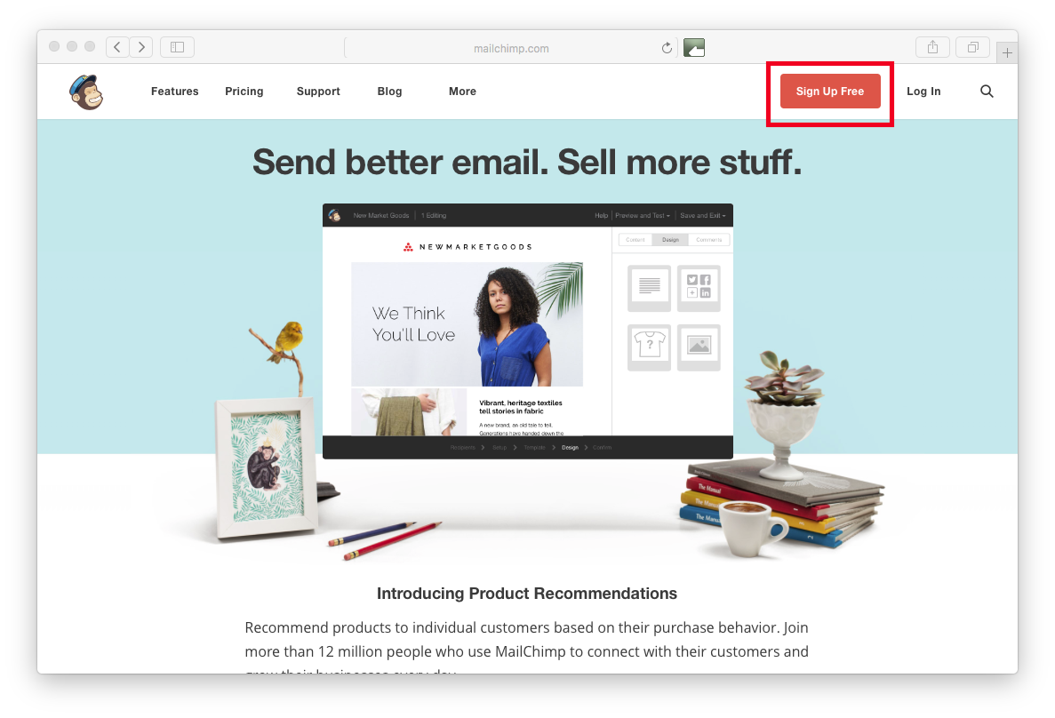 Mailchimp landing page