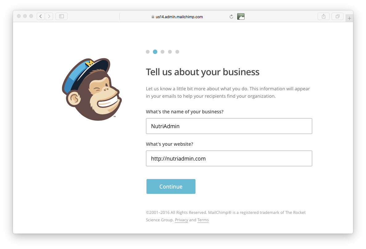 company and website in Mailchimp